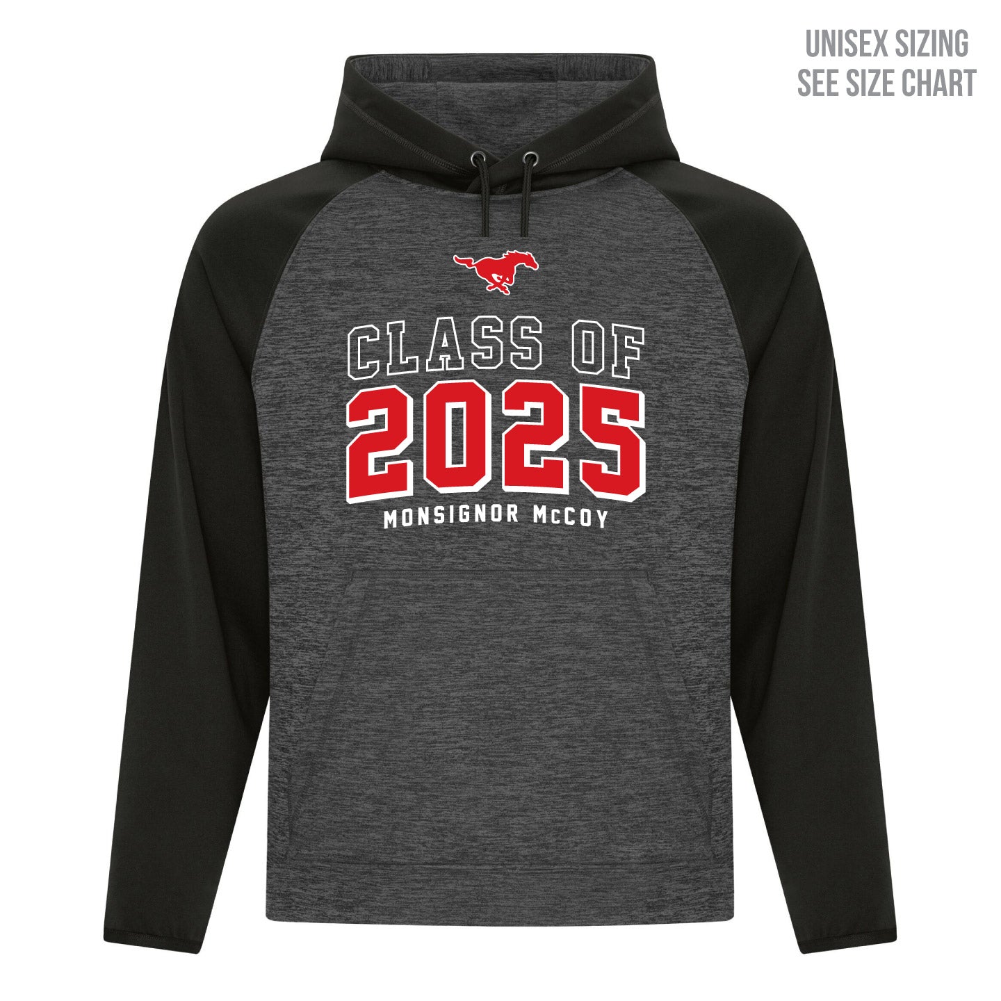 McCoy Grad 2025 Unisex Performance Pullover Hoodie (MCG25T001-F2047)