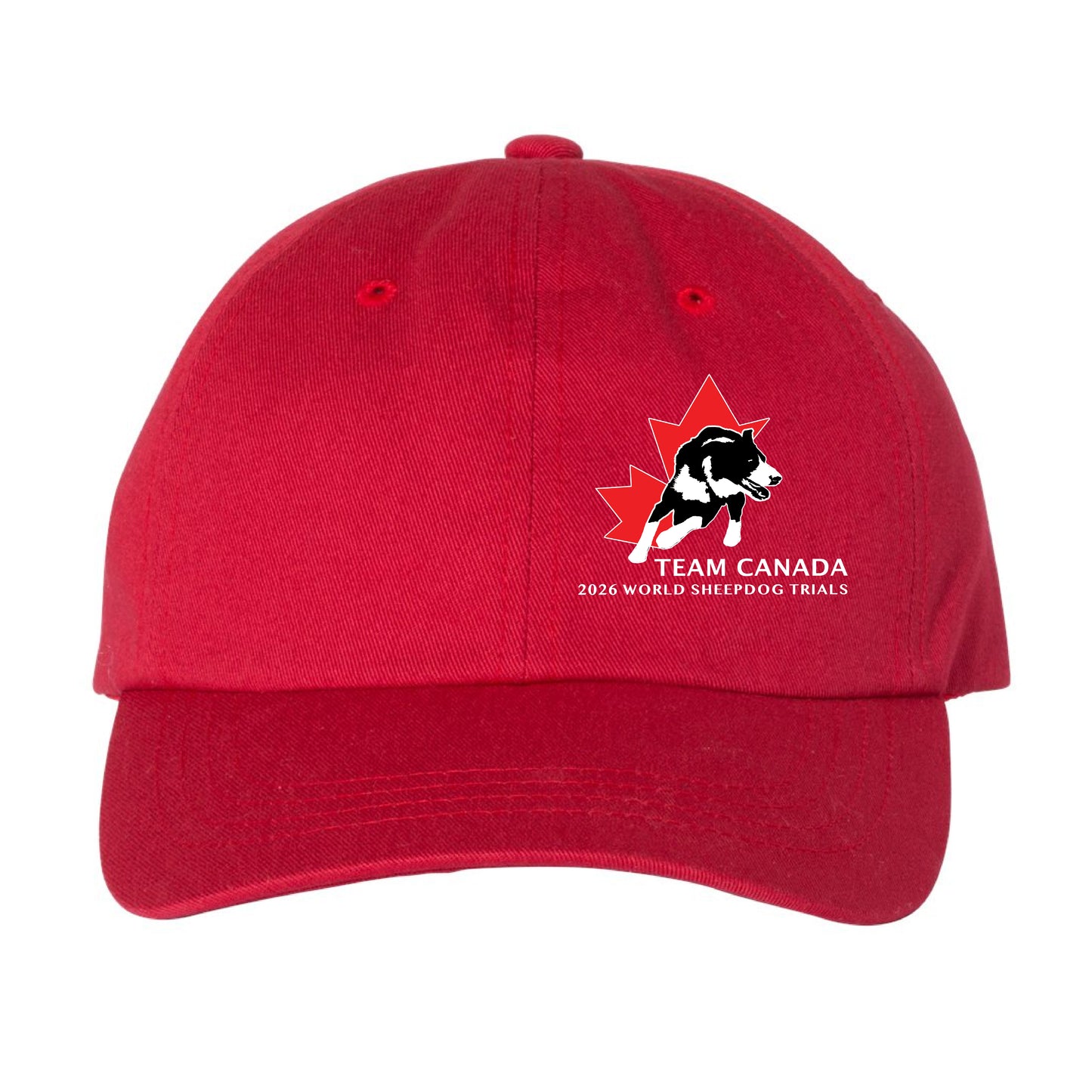 Sheepdog Trials Unstructured Dad Hat (SDTT005-6245CM)