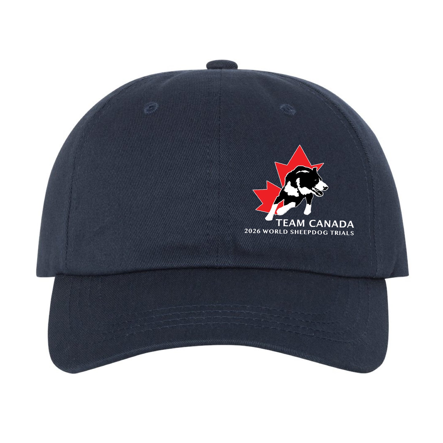Sheepdog Trials Unstructured Dad Hat (SDTT005-6245CM)