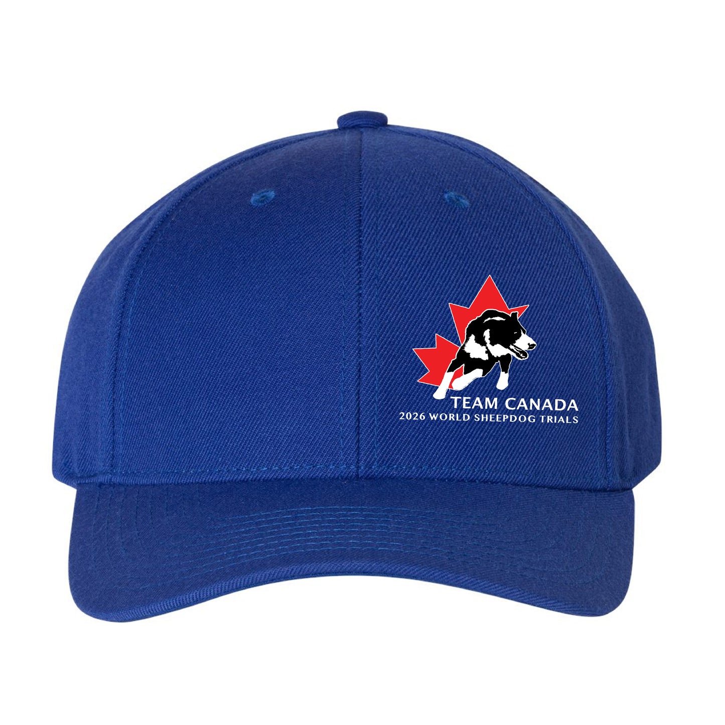 Sheepdog Trials Curved Brim Hat (SDTT005-6789M)