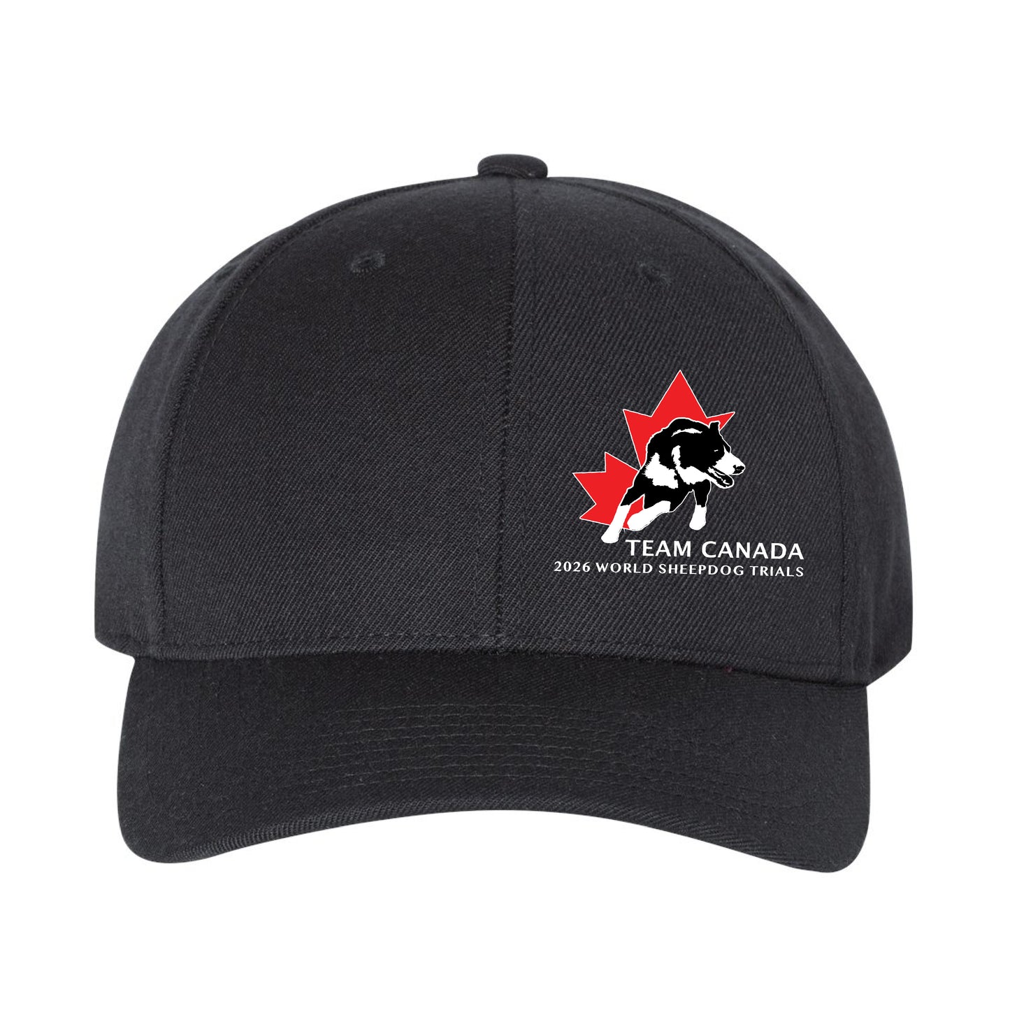 Sheepdog Trials Curved Brim Hat (SDTT005-6789M)