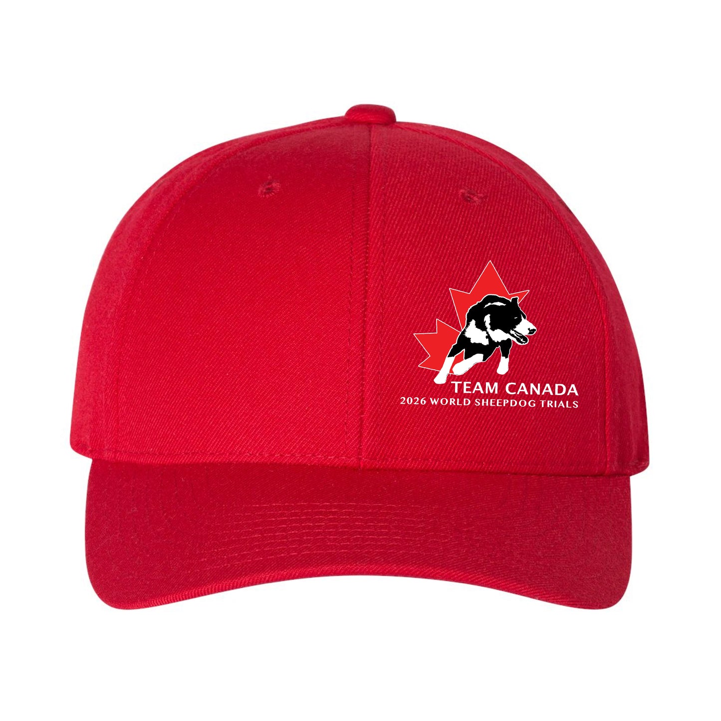 Sheepdog Trials Curved Brim Hat (SDTT005-6789M)