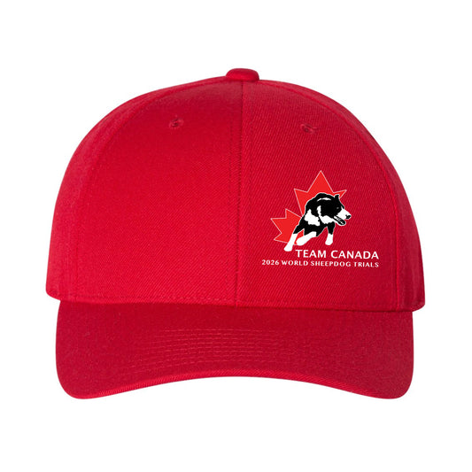 Sheepdog Trials Curved Brim Hat (SDTT005-6789M)