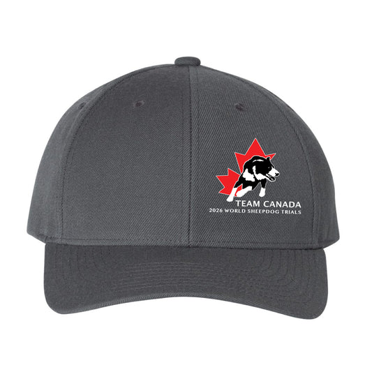 Sheepdog Trials Curved Brim Hat (SDTT005-6789M)