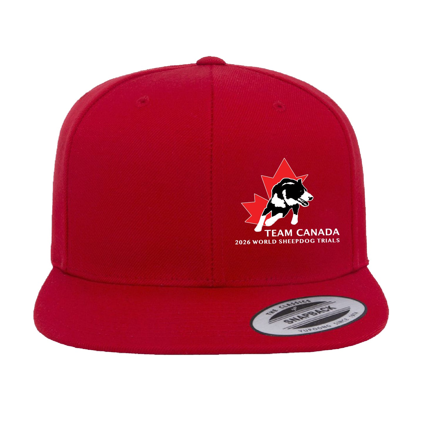 Sheepdog Trials Flat Brim Hat (SDTT005-6089M)