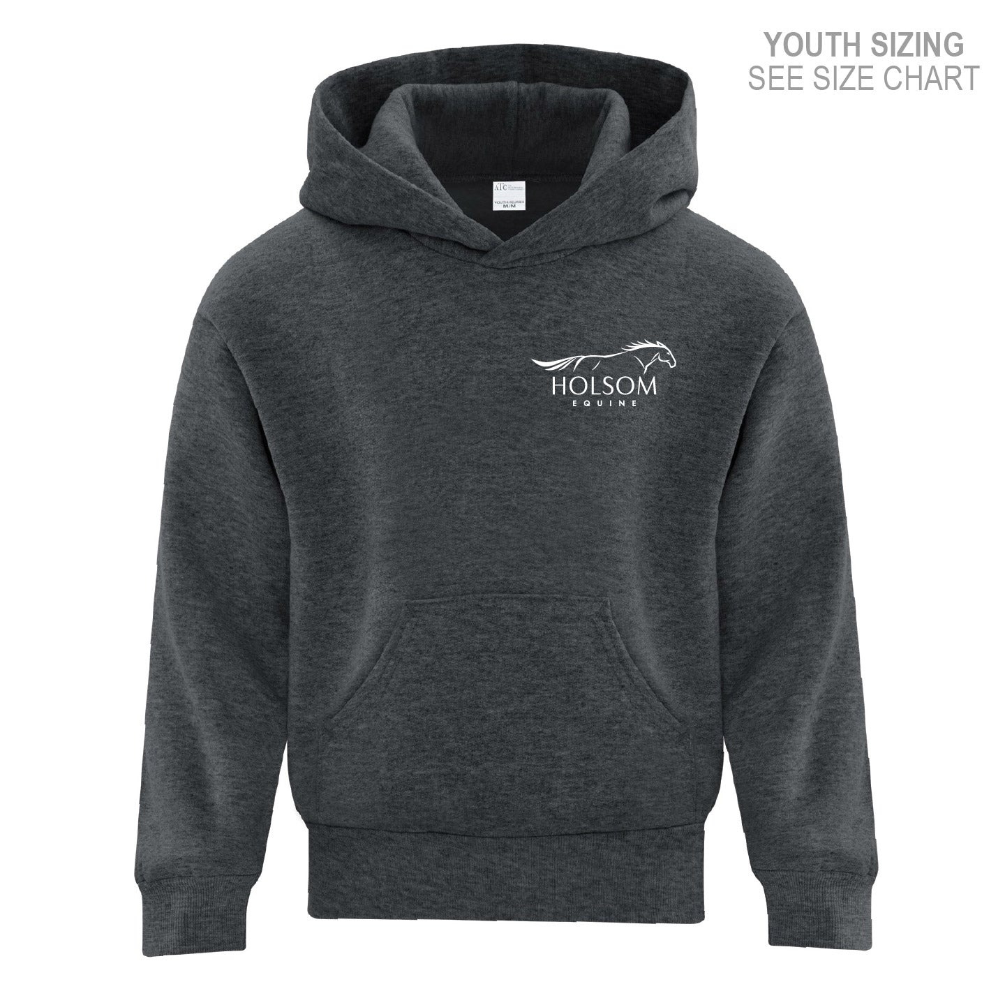Holsom Equine YOUTH Pullover Hoodie (HEQT001-Y2500)
