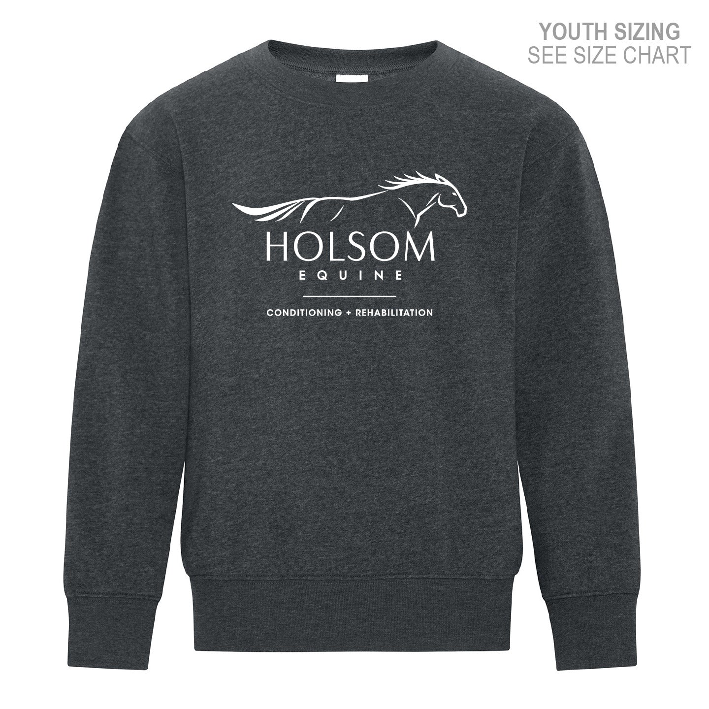 Holsom Equine YOUTH Crewneck Sweatshirt (HEQT002-18000B)