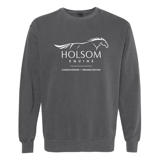 Holsom Equine UNISEX Pigment Dyed Retro Crewneck (HEQT002-1566)
