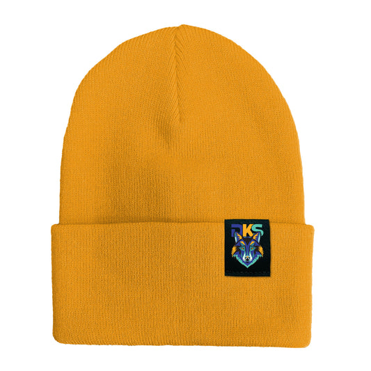 Dr. Ken Sauer Cuffed Beanie with Logo Tag (DKST009-SP12)