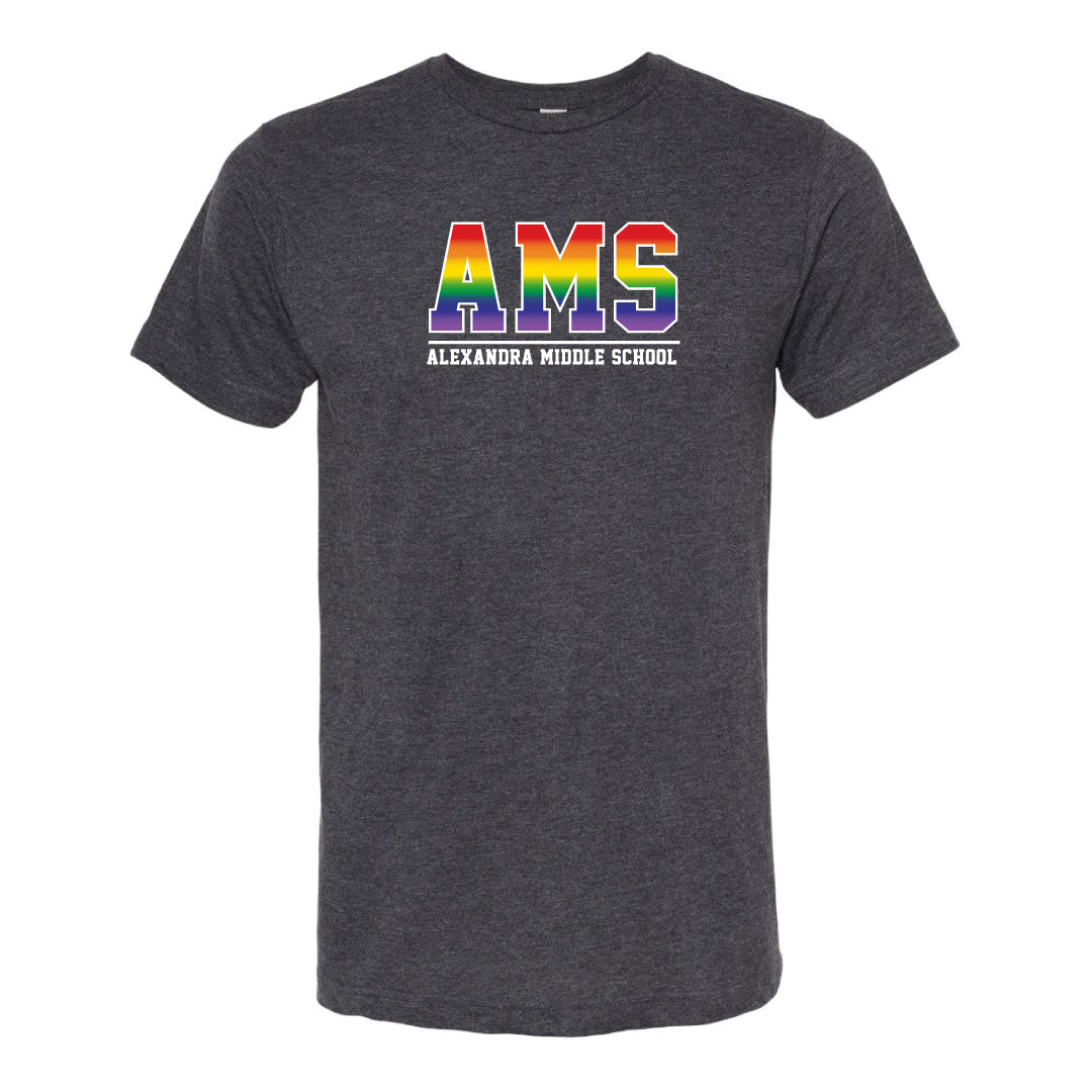 AMS Pride - School T-Shirt  (T12-ACTC2000)