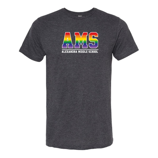 AMS Pride - School T-Shirt  (T12-ACTC2000)